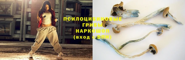 тгк Волоколамск